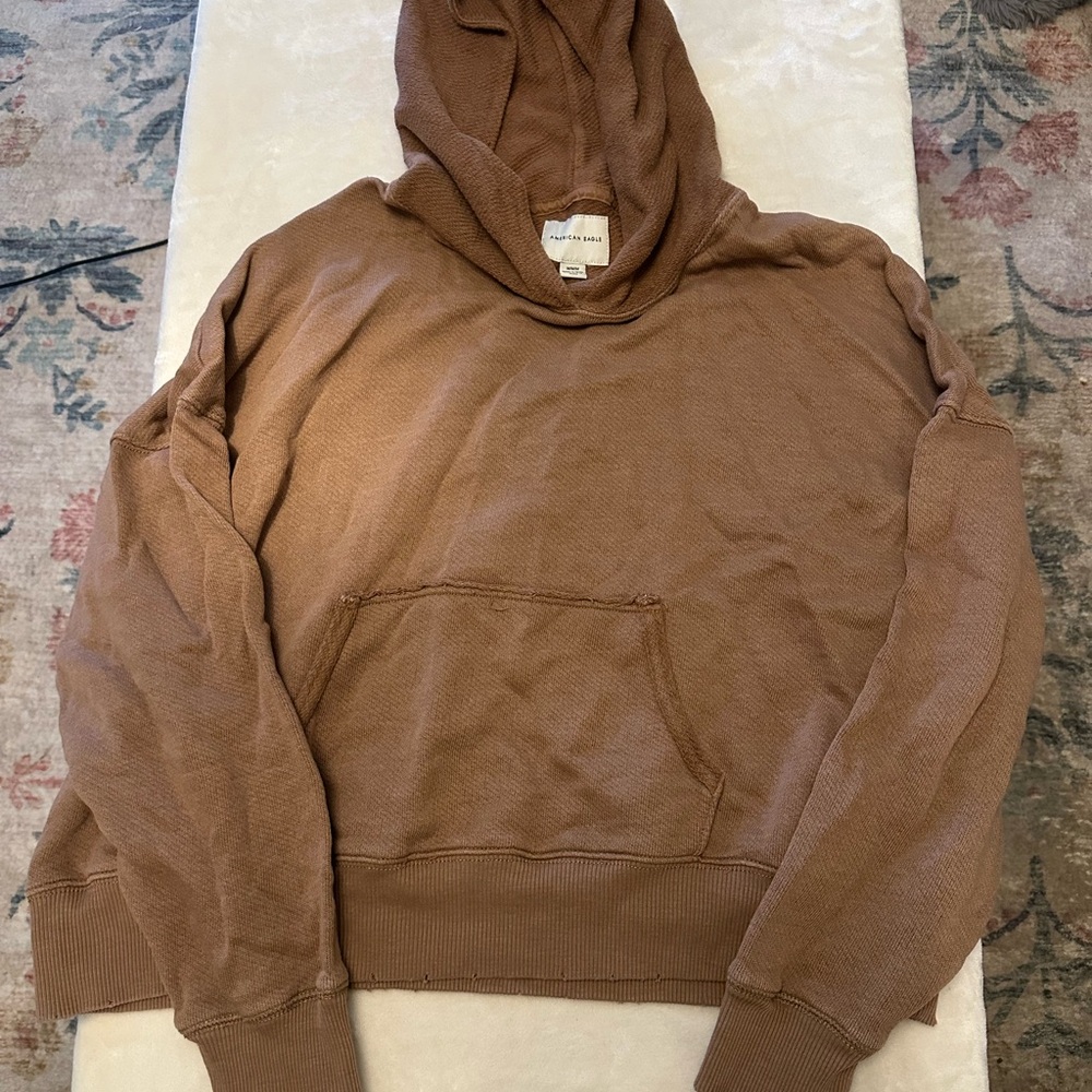 American Eagle Outfitters Brown Hoodie